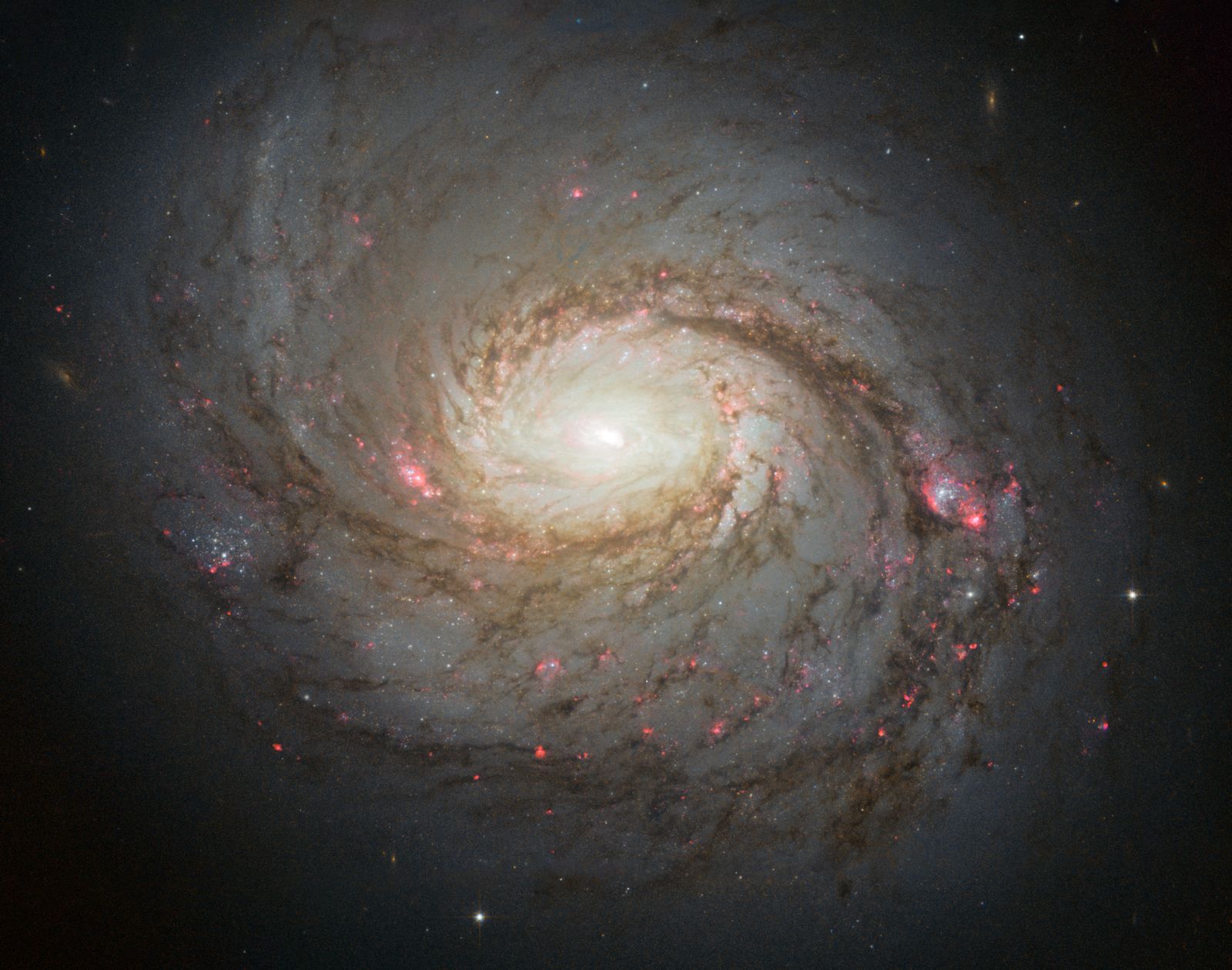 哈勃空间望远镜拍摄的 M77（NGC 1068）